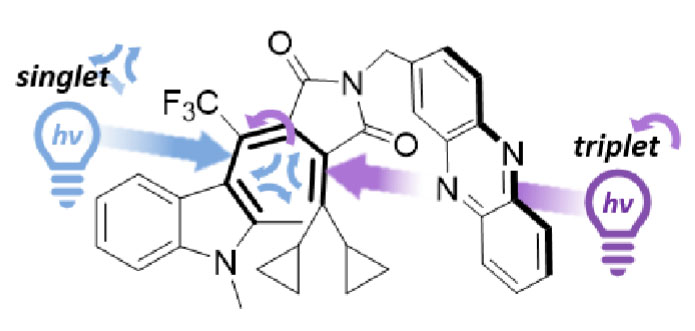 Self-Sensitized Fulgimides with Selective Multiplicity-Based Three-State Photoswitching
